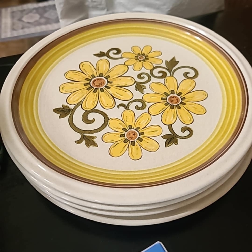 ISO: These Plates Or Bowls to Match!